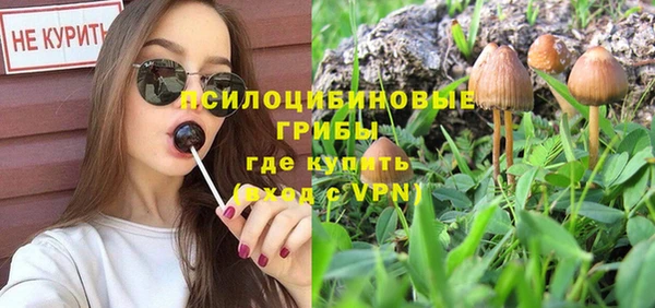 ГАЛЛЮЦИНОГЕННЫЕ ГРИБЫ Арсеньев