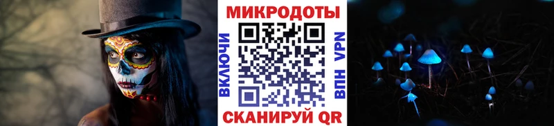 Галлюциногенные грибы Psilocybine cubensis закладки Полевской